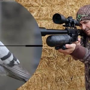 ¿Se pueden cazar aves con carabinas de aire comprimido?